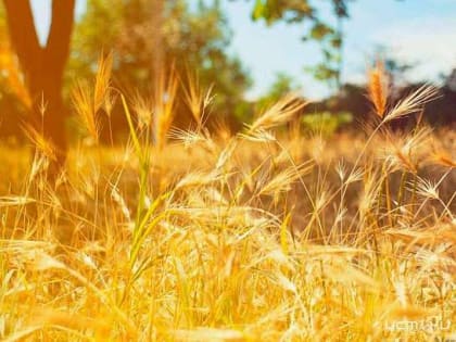 Скверы Гуртьева и Бунина готовятся к обновлению, в Железнодорожном районе обследуют трамвайные пути, а орловчанам предлагают сообщать о беспилотниках спецслужбам через приложение &