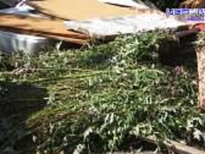 Дворы утопают в мусоре. К нам в редакцию за помощью обратились жители Орла с просьбой разобраться, кто отвечает за вывоз мусора и почему они бездействуют