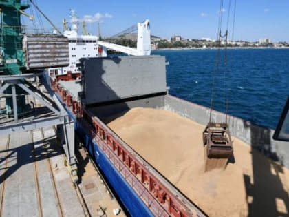 Россия намерена экспортировать 55–60 млн т зерна