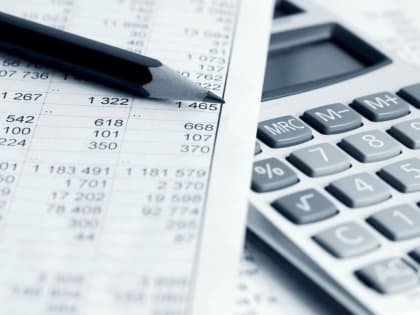 Контрольно-аналитическая работа с налогоплательщиками, применяющими спецрежимы, принесла в бюджет 81 млн рублей