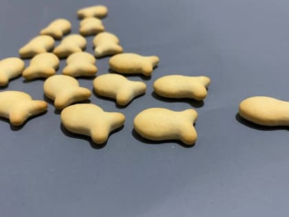 Орловские депутаты едва не подрались из-за печенек