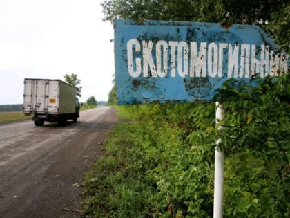 Правила ликвидации скотомогильников утвердил Клычков