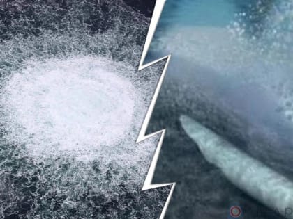 Террорист номер один