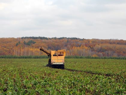 Уборочная-2023 идет к завершению