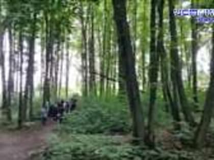 Спасатели делятся рецептами запеченой скумбрии, последние часы прокуровского леса, милосердию нашлось место на орловской дороге, Об этом и не только смотрите в рубрике "Экспре