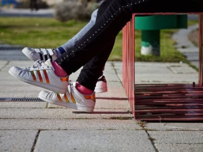 Орловским депутатам раскрыли причины подростковой преступности