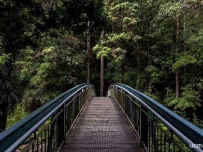 Неогороженная канава в метр глубиной беспокоит амчан, орловчане смогут увидеть легендарный пулемёт "Максим" и орудия I мировой войны в Сабурово, волонтёр из Орла стала же