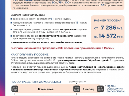 Социальный фонд России напоминает условия назначения единого пособия
