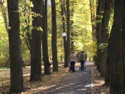 В Орловской области растет заболеваемость бесплодием