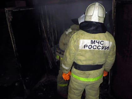 Возгорание хозпостройки в деревне Каменка