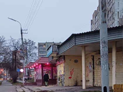 Опасная остановка троллейбуса номер 6 требует внимания