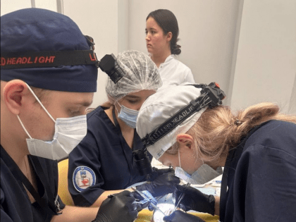 Всероссийская олимпиада студентов-медиков в Казани