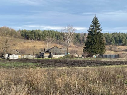 Орловские власти отчитались о благоустройстве села