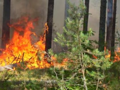 Пожароопасный период: главные правила безопасности