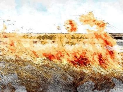 Пожилая орловчанка погибла, сжигая траву