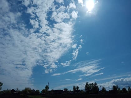 Погода в Орле: Антициклон приносит теплые дни