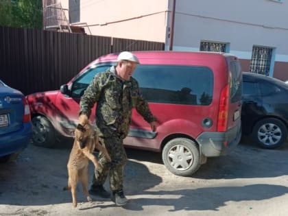 Приюты обязали раскрывать данные о поступивших животных