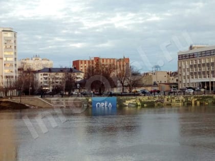 Орёл – птица водоплавающая: как в город пришла большая весенняя вода (фото)