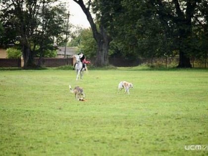 В Спасском-Лутовиново состоялась охота