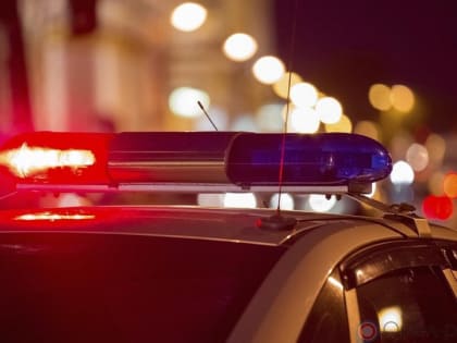 В 2022 году в отношении орловских водителей было возбуждено 5 уголовных дел за дачу взятки