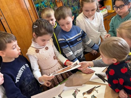 Игровая программа « Знатоки птиц».