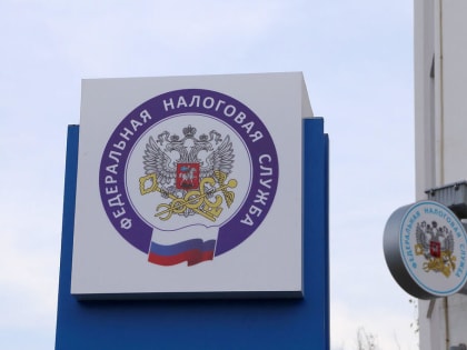 Налоговики призвали агентов отчитаться заранее