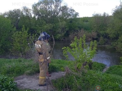 В Мценском районе в реке нашли труп мужчины