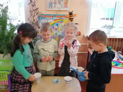 Трудовая деятельность в уголке природы