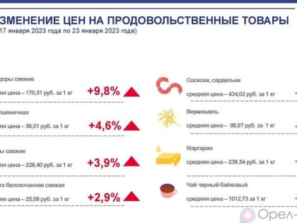 Динамика цен на продукты питания по данным Орёлстата