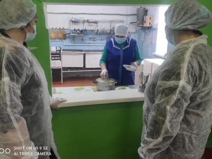 Мониторинг качества школьного питания