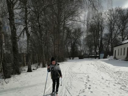 Лыжные гонки