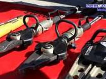 Они шли с человеком бок о бок, а в трудные времена выходили вперед.