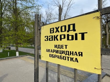 Орловская область не вошла в число «энцефалитных»