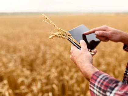 В 2023 году в Орловской области будут завершены значимые инвестпроекты в сельхозотрасли