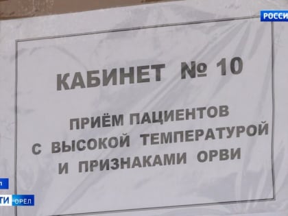 На Орловщине остановилось распространение ОРВИ и выросла заболеваемость COVID-19