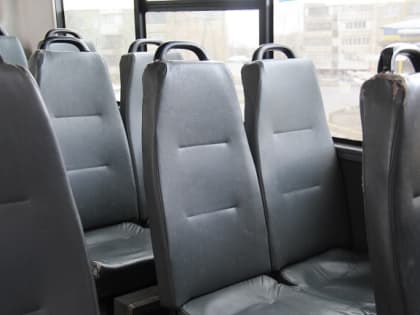 В Орле просубсидируют дачных перевозчиков