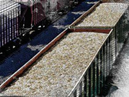 В Орловской области упал экспорт зерна