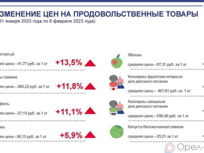 Динамика цен на продукты питания по данным Орёлстата