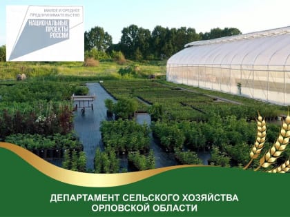 Фермер из Глазуновского района получил грант за выращивание картофеля в пробирке