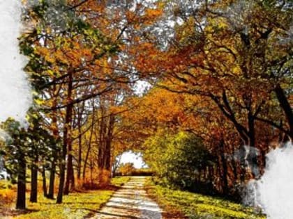 На предстоящей рабочей неделе в Орловской области будет настоящее бабье лето