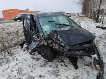 Водитель, протаранивший дерево, отправится в колонию