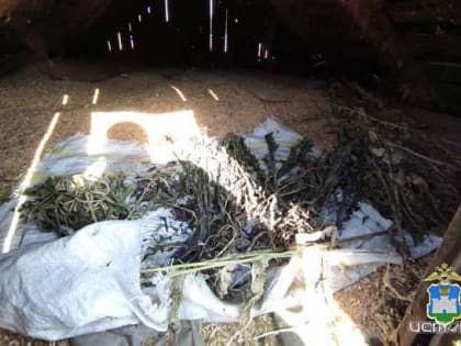 У жителя Урицкого района нашли почти 3 кг маковой соломы