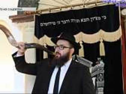 Новый год - волшебный праздник. И в каждой стране он отмечается по-разному