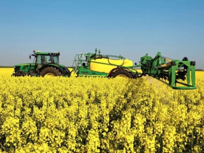 Орловcкая область стала лидером по валовому производству рапса