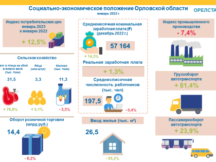 В Орловской области в январе текущего года упал оборот розничной торговли