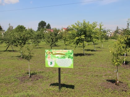 Ежегодный районный конкурс учебно-опытных участков.