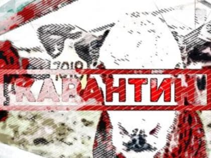 Карантин по оспе овец и коз отменён в Орловской области