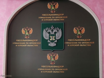 Россельхознадзор проконтролировал отгрузку 2,8 тыс. тонн растительных грузов в Белоруссию и Латвию