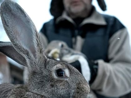 Орловцы смогут побороться за 700 млн рублей грантов на развитие агротуризма