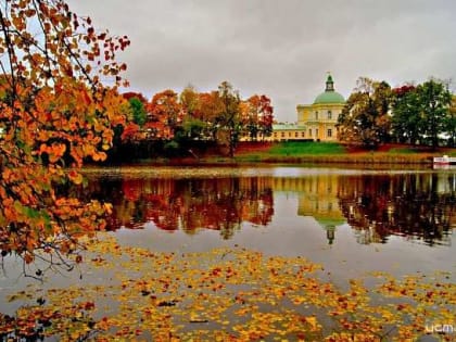 Жители Мценска просят Путина разобраться с мусорным полигоном, который отравляет им жизнь, орловские дайверы не оставили надежды изучить Муравский шлях и раскрыть все его тайны. Об